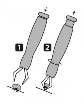 Preview: Zeckenzange